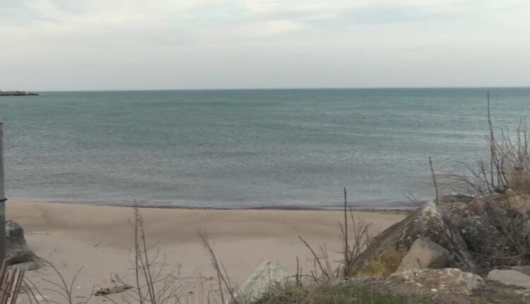11784388_042322-wls-missing-windsurfer-10pvo-vid.jpg
