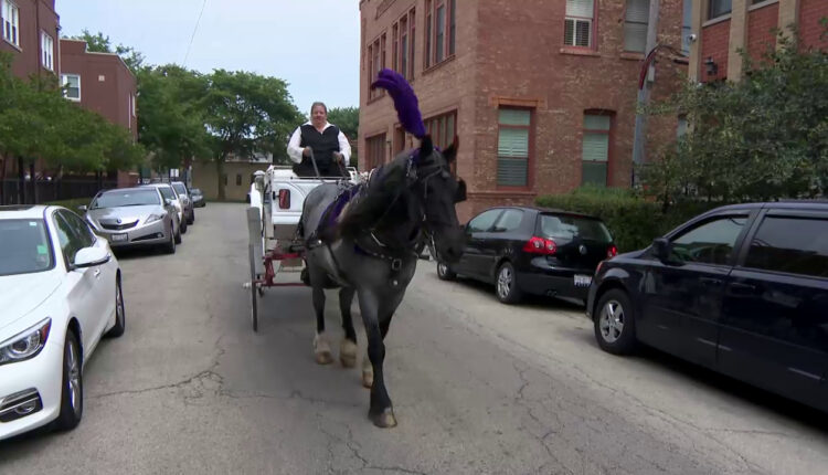 HorseDrawnCarriage_WTTWNews.jpg
