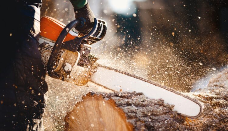 chainsaw-tree-shutterstock_1054929722.jpg