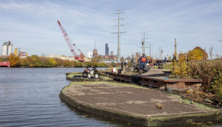 RS38206_071southbranch.jpg