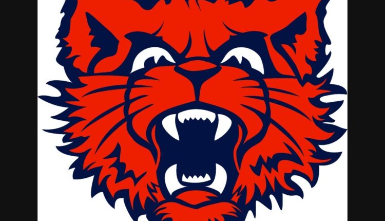 eths-williewildkit-head-2___20231030543.jpg