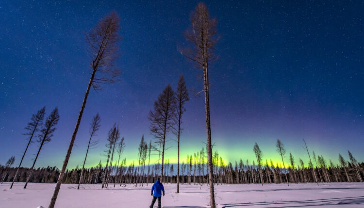 79177901-aurora6776_cc.jpg